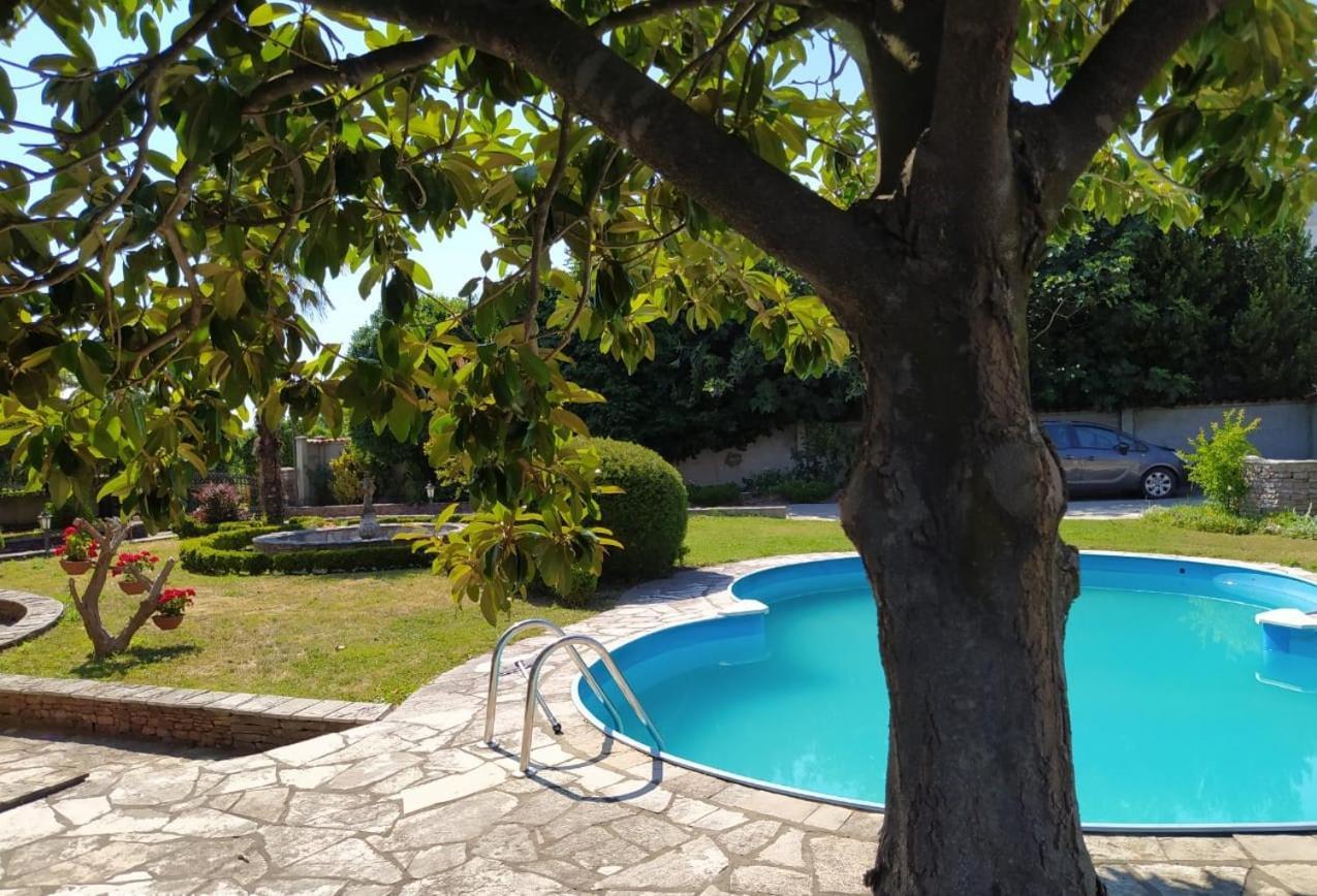 Leisure House Jovovic Villa Бар Екстериор снимка