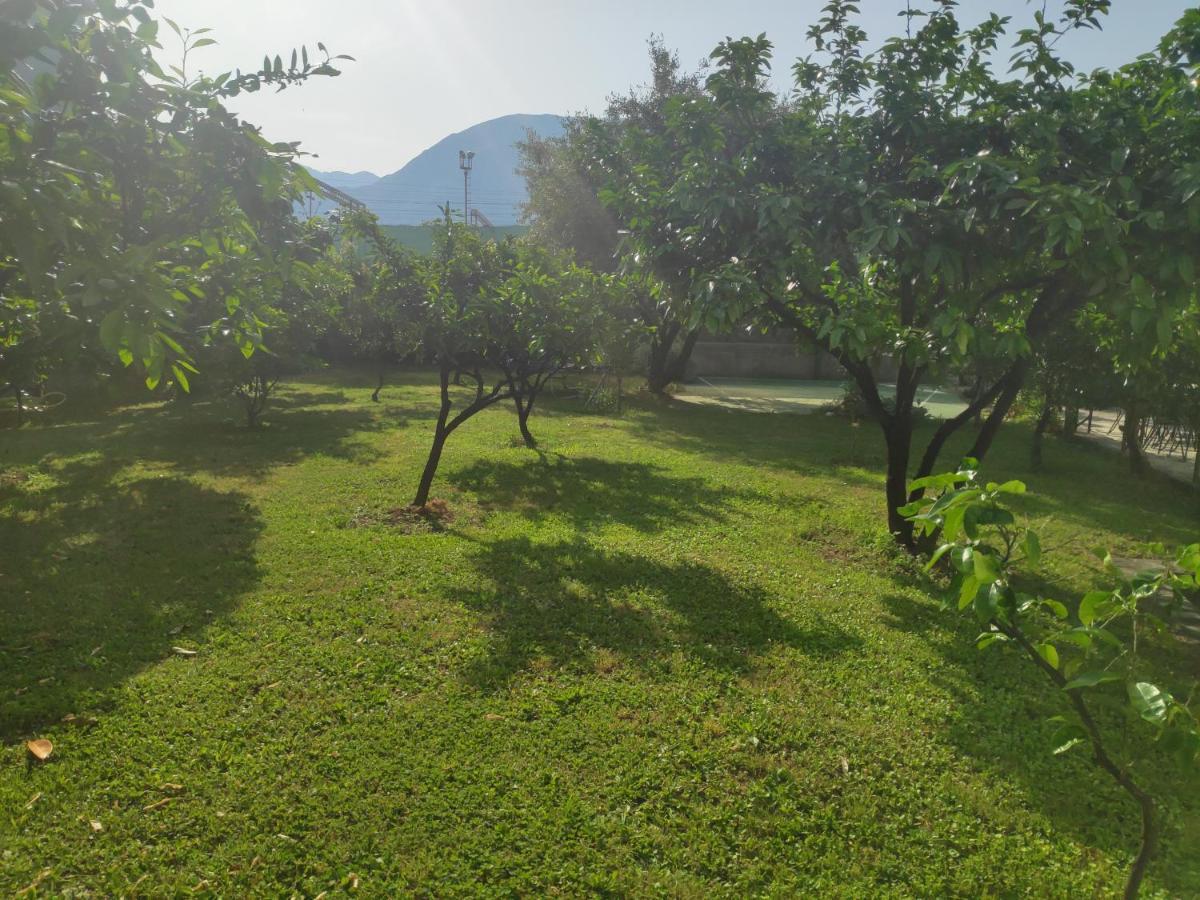 Leisure House Jovovic Villa Бар Екстериор снимка